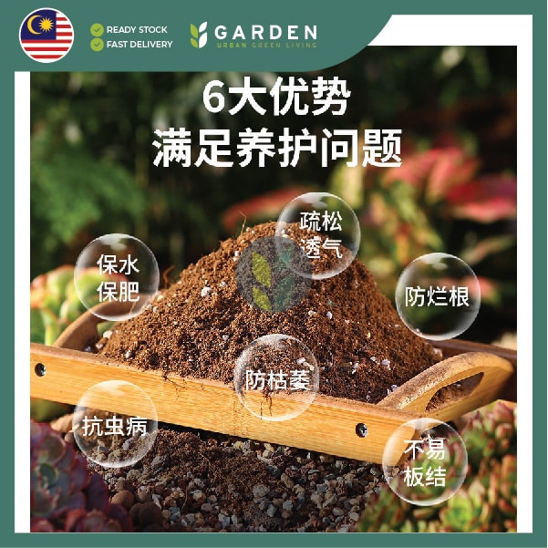 2.5L Special Potting Mix Soil for Cactus and Succulents 2.5公升 多肉植物仙人掌专用土