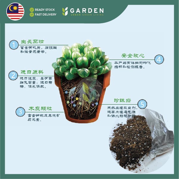2.5L Special Potting Mix Soil for Cactus and Succulents 2.5公升 多肉植物仙人掌专用土