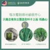 LEAFSHINE-02 ๐๐ก๐ ๐๐๐๐ ๐๐ก๐ข๐ง๐ ๐๐ฉ๐ซ๐๐ฒ ๆค็ฉๅถ้ขๅ
ไบฎๅท้พๅ 600ml