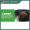 RB01-04 Yewfex 25M Air Pruning Pot Root Controller 快速控根器 根控透气花盆