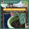 Soil-03 Yewfex 12kg (28L) Organic Soil 6 in 1 Plant Vegetable Soil Compost Fertilizer 6合1天然有机土 蔬菜花卉通用营养土