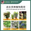 Soil-04 Yewfex 12kg (28L) Organic Soil 6 in 1 Plant Vegetable Soil Compost Fertilizer 6合1天然有机土 蔬菜花卉通用营养土