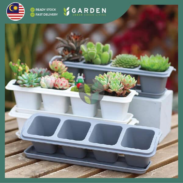 Yewfex 6 Holes Seedling Tray Succulent Cactus Plastic Plant Nursery Pot Grow Starter Propagation ewfex 6孔加厚育苗盆 多肉仙人掌叶插育苗盘 塑料发芽穴盘 种苗营养钵 扦插穴盆