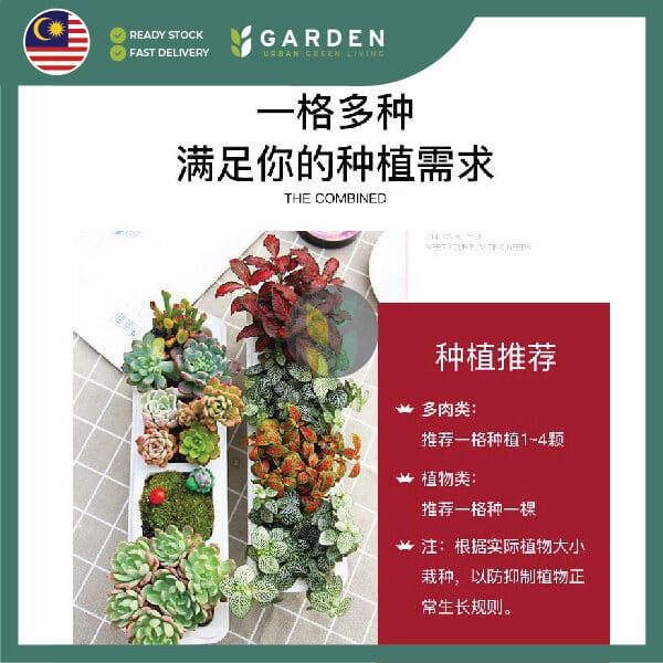 Yewfex 6 Holes Seedling Tray Succulent Cactus Plastic Plant Nursery Pot Grow Starter Propagation ewfex 6孔加厚育苗盆 多肉仙人掌叶插育苗盘 塑料发芽穴盘 种苗营养钵 扦插穴盆
