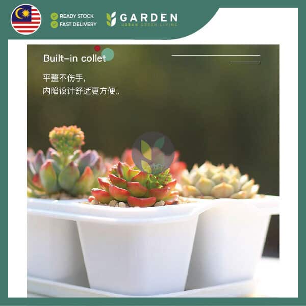 Yewfex 6 Holes Seedling Tray Succulent Cactus Plastic Plant Nursery Pot Grow Starter Propagation ewfex 6孔加厚育苗盆 多肉仙人掌叶插育苗盘 塑料发芽穴盘 种苗营养钵 扦插穴盆