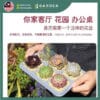 Yewfex 6 Holes Seedling Tray Succulent Cactus Plastic Plant Nursery Pot Grow Starter Propagation ewfex 6孔加厚育苗盆 多肉仙人掌叶插育苗盘 塑料发芽穴盘 种苗营养钵 扦插穴盆