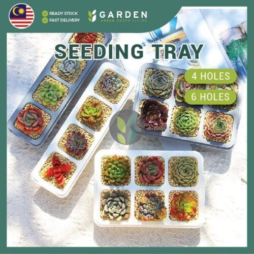Yewfex 6 Holes Seedling Tray Succulent Cactus Plastic Plant Nursery Pot Grow Starter Propagation ewfex 6孔加厚育苗盆 多肉仙人掌叶插育苗盘 塑料发芽穴盘 种苗营养钵 扦插穴盆
