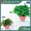 fertilizer01-09 Yewfex 400g Flower Bloom Foliar Fertilizer Growing Plants Strong Root Booster Gardening Baja Bunga Daun 强效催花高氮钾叶面肥 植物通用生根速效营养肥料 园艺爆花促根专用肥