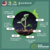 fertilizer01-10 Yewfex 400g Flower Bloom Foliar Fertilizer Growing Plants Strong Root Booster Gardening Baja Bunga Daun 强效催花高氮钾叶面肥 植物通用生根速效营养肥料 园艺爆花促根专用肥