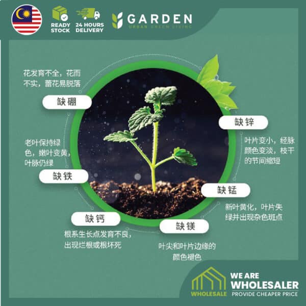 fertilizer01-10 Yewfex 400g Flower Bloom Foliar Fertilizer Growing Plants Strong Root Booster Gardening Baja Bunga Daun 强效催花高氮钾叶面肥 植物通用生根速效营养肥料 园艺爆花促根专用肥