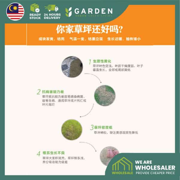fertilizer01-12 Yewfex 400g Lawn Fertilizer Organic Grass Fertilizer Quick Greening Formula Baja Rumput Karpet Cow Grass 草坪专用肥 庭院地毯草快速返青黑绿颗粒肥料 营养复合肥 防枯黄烂根