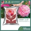fertilizer01-15 Yewfex 400g Flower Bloom Foliar Fertilizer Growing Plants Strong Root Booster Gardening Baja Bunga Daun 强效催花高氮钾叶面肥 植物通用生根速效营养肥料 园艺爆花促根专用肥