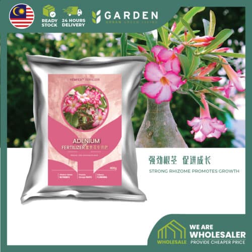 Yewfex 400g Adenium Fertilizer Desert Rose Flower Bloom Booster Strong Rhizome Root Baja Bunga Kemboja 富贵花专用肥 沙漠玫瑰催花促根肥 强劲根茎肉质根专用营养颗粒肥料