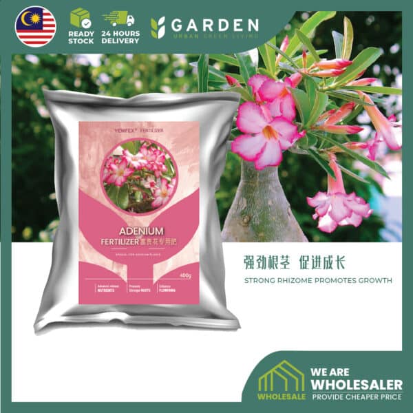 fertilizer01-17 Yewfex 400g Adenium Fertilizer Desert Rose Flower Bloom Booster Strong Rhizome Root Baja Bunga Kemboja 富贵花专用肥 沙漠玫瑰催花促根肥 强劲根茎肉质根专用营养颗粒肥料