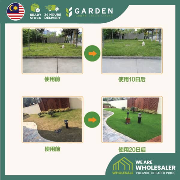 fertilizer01-19 Yewfex 400g Lawn Fertilizer Organic Grass Fertilizer Quick Greening Formula Baja Rumput Karpet Cow Grass 草坪专用肥 庭院地毯草快速返青黑绿颗粒肥料 营养复合肥 防枯黄烂根
