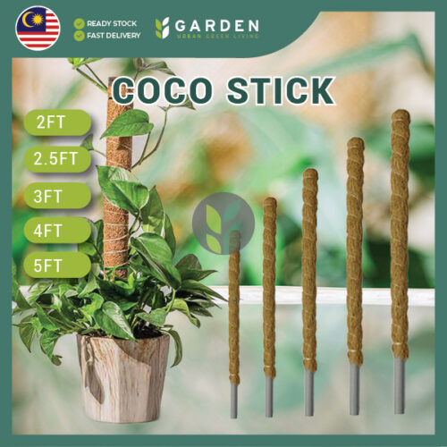 Yewfex Fiber Coco Stick Plant Support Pole园艺天然椰丝柱