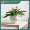 【Nordic Minimalist】European Modern Minimalist Creative Ceramic Flower Pot 【北欧极简】欧式现代简约创意陶瓷花盆 624