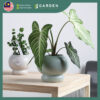 【Nordic Minimalist】European Modern Minimalist Creative Ceramic Flower Pot 【北欧极简】欧式现代简约创意陶瓷花盆 624