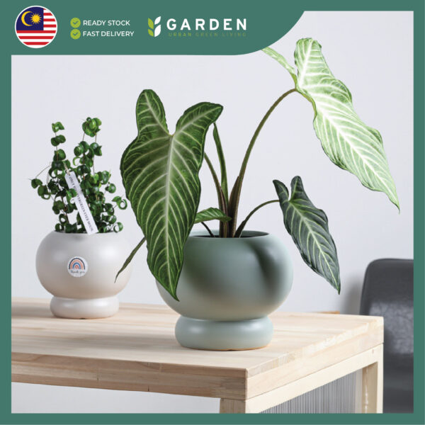 【Nordic Minimalist】European Modern Minimalist Creative Ceramic Flower Pot 【北欧极简】欧式现代简约创意陶瓷花盆 624