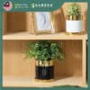 【Nordic Minimalist】European Modern Minimalist Creative Ceramic Flower Pot 【北欧极简】欧式现代简约创意陶瓷花盆 866-J