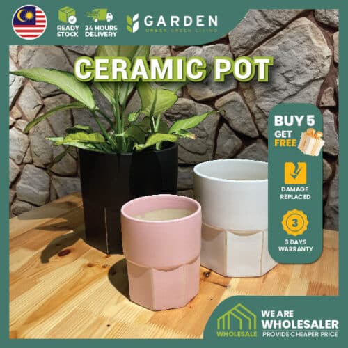 Ceramic shopee 874-07 【Nordic Minimalist】European Modern Minimalist Creative Ceramic Flower Pot 【北欧极简】欧式现代简约创意陶瓷花盆 894