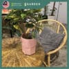 【Nordic Minimalist】European Modern Minimalist Creative Ceramic Flower Pot 【北欧极简】欧式现代简约创意陶瓷花盆 894