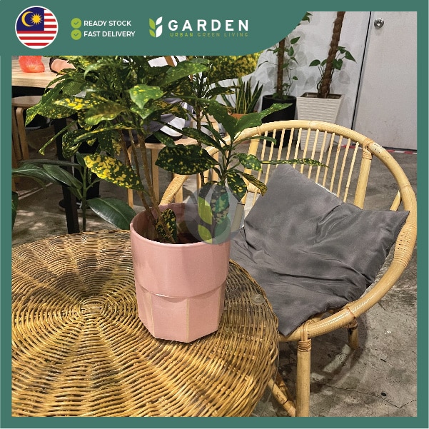 【Nordic Minimalist】European Modern Minimalist Creative Ceramic Flower Pot 【北欧极简】欧式现代简约创意陶瓷花盆 894