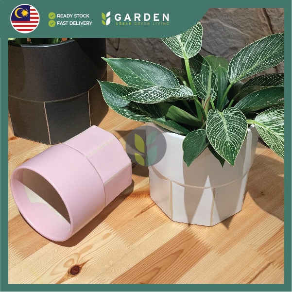 【Nordic Minimalist】European Modern Minimalist Creative Ceramic Flower Pot 【北欧极简】欧式现代简约创意陶瓷花盆 894