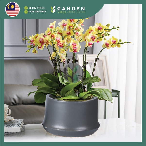 Ceramic shopee 891-03 【Nordic Minimalist】European Modern Minimalist Creative Ceramic Flower Pot 【北欧极简】欧式现代简约创意陶瓷花盆 891