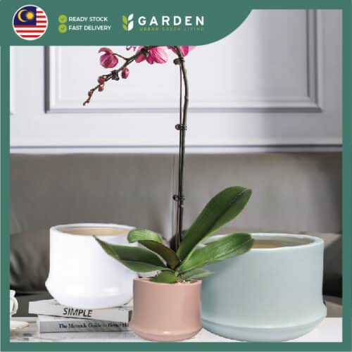 Ceramic shopee 891-04 【Nordic Minimalist】European Modern Minimalist Creative Ceramic Flower Pot 【北欧极简】欧式现代简约创意陶瓷花盆 891
