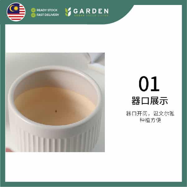 【Nordic Minimalist】European Modern Minimalist Creative Ceramic Flower Pot 【北欧极简】欧式现代简约创意陶瓷花盆 899-H13