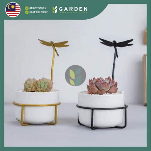 FJ shopee-14 【Nordic Minimalist】European Modern Minimalist Creative Ceramic Flower Pot 【北欧极简】欧式现代简约创意陶瓷花盆 RT02728
