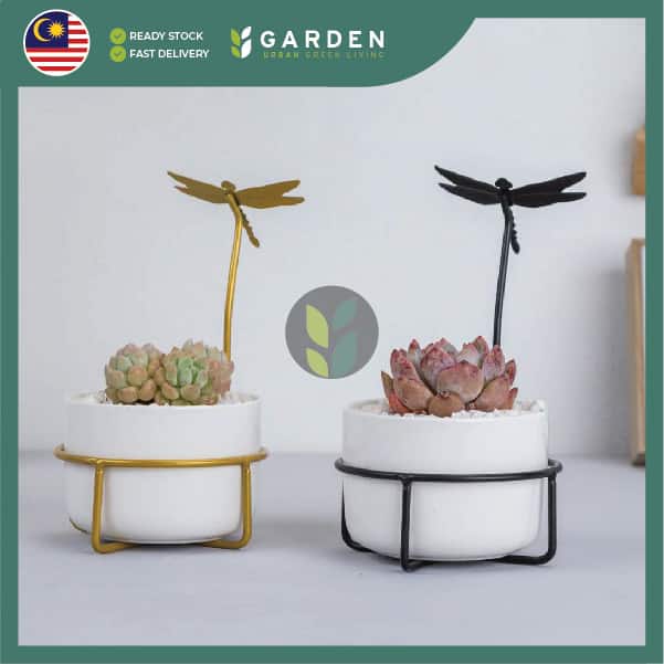 FJ shopee-14 【Nordic Minimalist】European Modern Minimalist Creative Ceramic Flower Pot 【北欧极简】欧式现代简约创意陶瓷花盆 RT02728