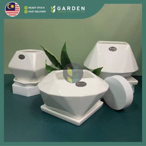 HCZ 01 Ceramic shopee-18 【Nordic Minimalist】European Modern Minimalist Creative Ceramic Flower Pot 【北欧极简】欧式现代简约创意陶瓷花盆 HCZ
