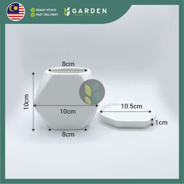 【Nordic Minimalist】European Modern Minimalist Creative Ceramic Flower Pot 【北欧极简】欧式现代简约创意陶瓷花盆 HCZ