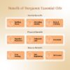 RE SENSE®Bergamot Essential Oil (10ml)