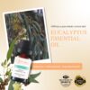 RE SENSE®Eucalyptus Essential Oil (10ml)