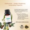 RE SENSE®Eucalyptus Essential Oil (10ml)