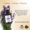 RE SENSE®Lavender Essential Oil (10ml)