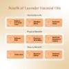 RE SENSE®Lavender Essential Oil (10ml)