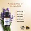 RE SENSE®Lavender Essential Oil (10ml)