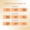 RE SENSE®Lemon Essential Oil (10ml)