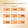 RE SENSE®Lemongrass Essential Oil (10ml)