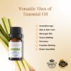 RE SENSE®Lemongrass Essential Oil (10ml)