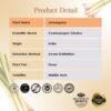 RE SENSE®Lemongrass Essential Oil (10ml)