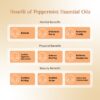 RE SENSE®Peppermint Essential Oil (10ml)