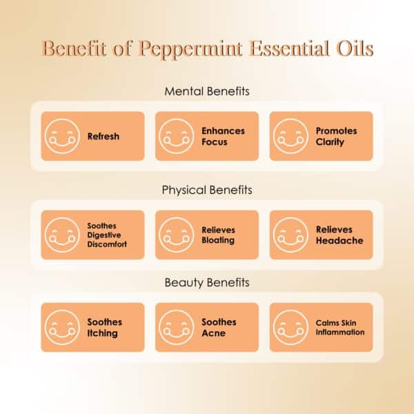RE SENSE®Peppermint Essential Oil (10ml)
