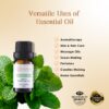 RE SENSE®Peppermint Essential Oil (10ml)