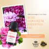 RE SENSE®Rose Geranium Essential Oil (10ml)