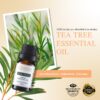 RE SENSE®Tea Tree Essential Oil (10ml)